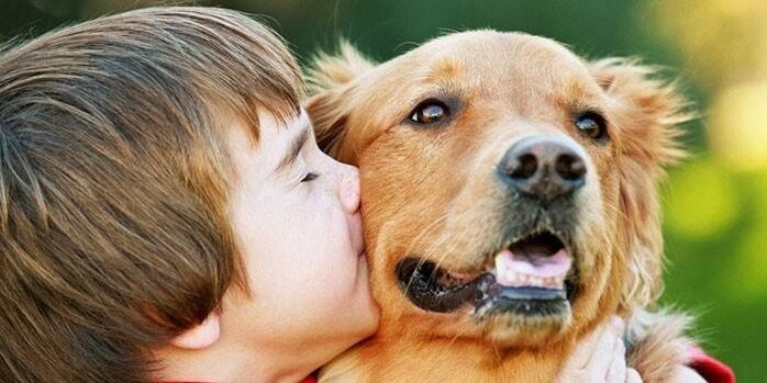 Der Junge küsst den Hund und infiziert sich mit Parasiten